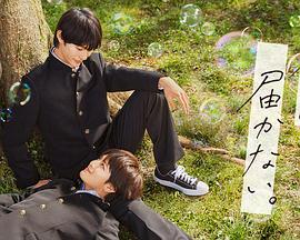 门户网站seo怎么设置